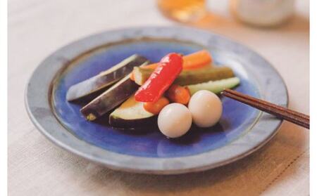 【訳あり】泉州水なすピクルス等おまかせ 6本セット