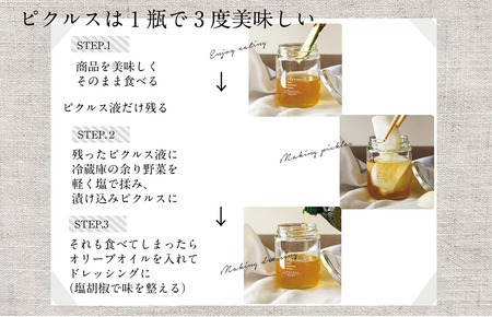 【訳あり】泉州水なすピクルス等おまかせ 12本セット いずみピクルス NSW 〈スピード発送〉