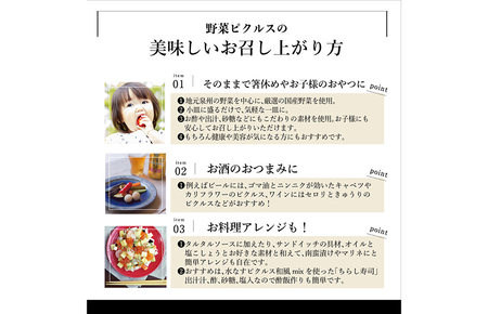 【訳あり】泉州水なすピクルス等おまかせ 12本セット いずみピクルス NSW 〈スピード発送〉