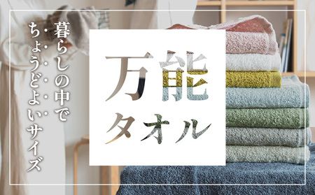 ファミーユ ミニバスタオル 6枚（グレー）