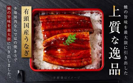 【贈答用】五郎藤 関西風地焼き 国産有頭旨鰻 250g×2尾 計約500g 特大 うなぎ ウナギ 蒲焼き 炭火