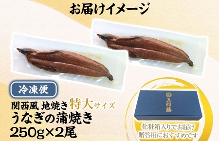 【贈答用】五郎藤 関西風地焼き 国産有頭旨鰻 250g×2尾 計約500g 特大 うなぎ ウナギ 蒲焼き 炭火