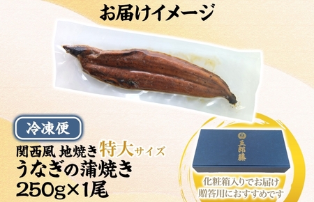 【贈答用】五郎藤 関西風地焼き 国産有頭旨鰻 250g×1尾 計約250g 特大 うなぎ ウナギ 蒲焼き 炭火