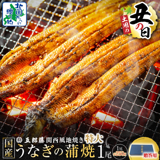【7/26土用の丑の日】五郎藤 関西風地焼き 国産有頭旨鰻 250g×1尾 計約250g【贈答用】