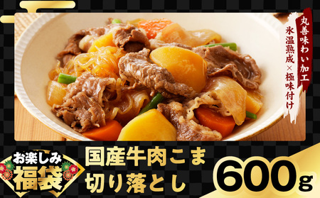肉福袋 4種 3.8kg 焼肉セット（牛肉 切り落とし／牛ハラミ／豚肉 スペアリブ／鶏肉）