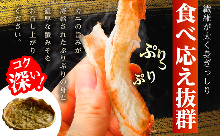 【訳あり規格】バルダイ種 ズワイガニ姿 1.5kg（2～5尾）