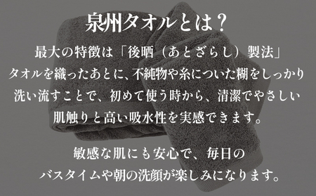 【スピード発送】プレミアムタオル グレー 3枚セット