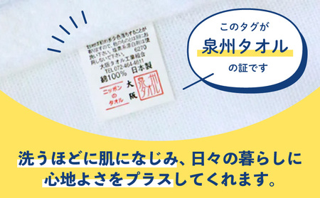 【スピード発送】ザ・泉州タオル (ホワイト 約34×86cm 12枚) ボーダーつきフェイスタオル