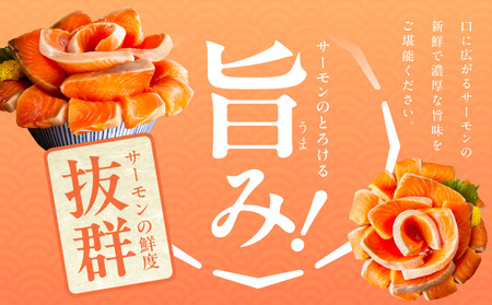 【高評価】サーモン 1.5kg ポーション