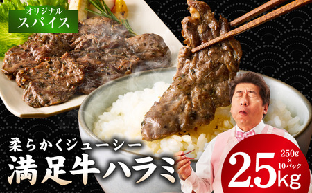 【満足牛ハラミ】オリジナルスパイス仕込み 合計2.5kg