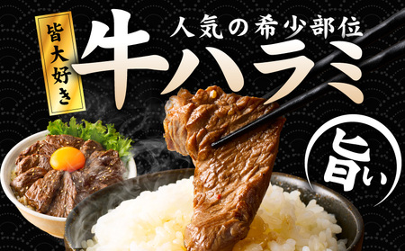 【満足牛ハラミ】中辛タレ漬け 合計3kg