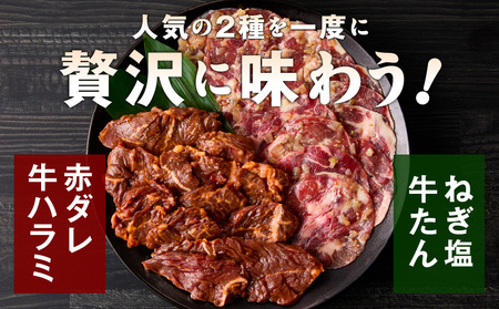 牛タン&牛ハラミ お試し 1kg 焼肉セット