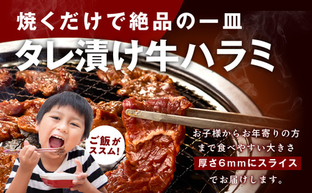 牛タン&牛ハラミ お試し 1kg 焼肉セット