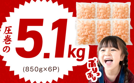 むきえび 総量 5.1kg 特大5Lサイズ【850g×6P】