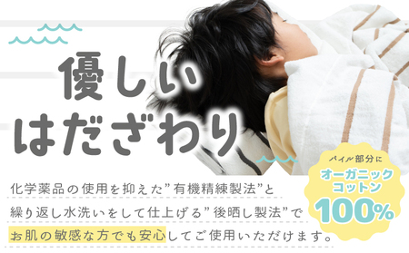 しまふわケット 1枚 グレー