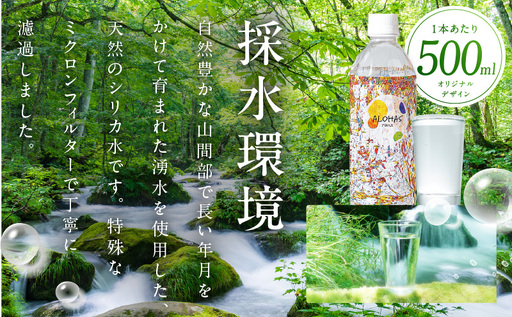 【定期便】天然水 500ml 40本×全3回