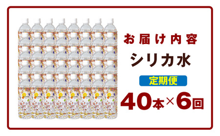 【定期便】ALOHAS シリカ水 合計20L (500ml×40本入り)×全6回