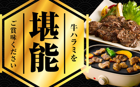 【満足牛ハラミ】オリジナルスパイス仕込み 400g