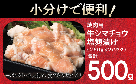 牛シマチョウ 焼肉用 塩麹漬け 500g