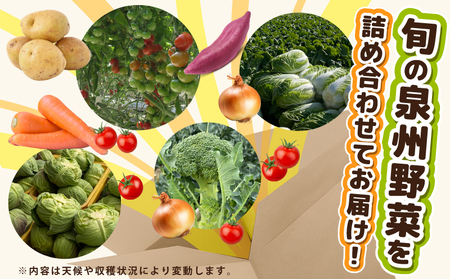 季節の野菜セット 2～7種類