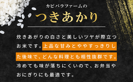 【数量限定】令和7年産 新米 つきあかり 10kg