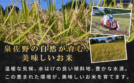 【数量限定】令和7年産 新米 つきあかり 10kg