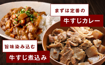 牛すじ肉 総量 1kg 真空パック 500g×2P