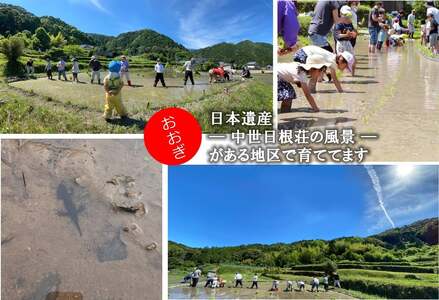 日本遺産の棚田景観で育てた大木米(白米)2kg