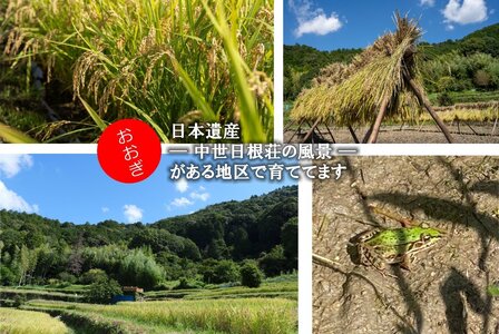 日本遺産の棚田景観で育てた大木米(白米)2kg