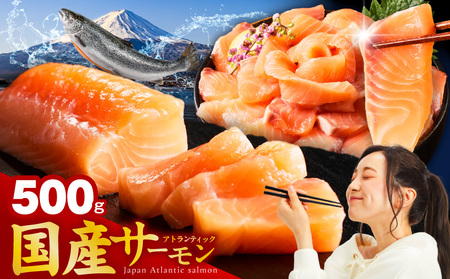 国産アトランティックサーモン 500g ポーション