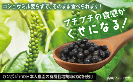 生胡椒 塩漬け 50g×1P