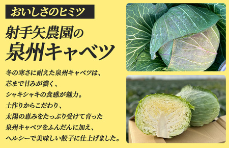 【訳アリ】泉州キャベツ餃子160粒