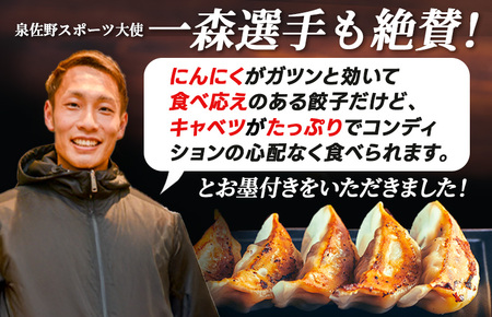 【訳アリ】泉州キャベツ餃子160粒