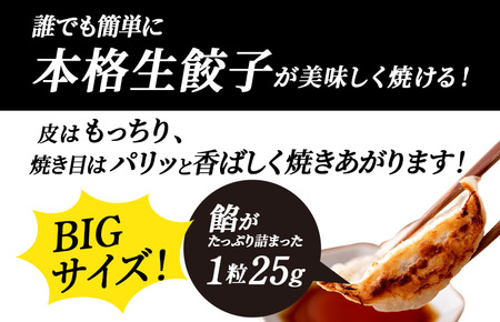 【訳アリ】泉州キャベツ餃子160粒