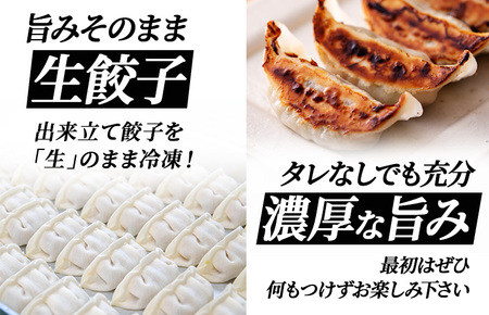 【訳アリ】泉州キャベツ餃子160粒