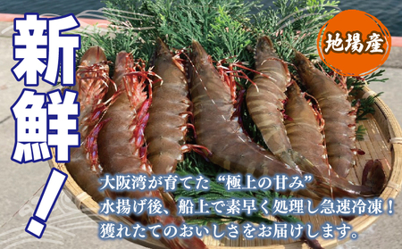 足赤エビ 250g