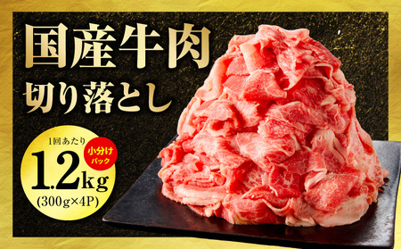 国産 牛肉＆豚肉＆鶏肉 まんぷく 定期便 5kg×4回