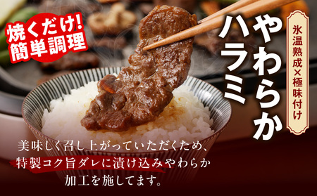 焼肉 福袋 4種セット 定期便 2kg×4回