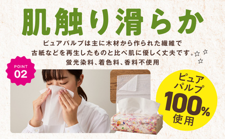 【定期便】 ソフトパックティッシュ400枚×60パック & トイレットペーパー シングル 85M巻×64ロールセット