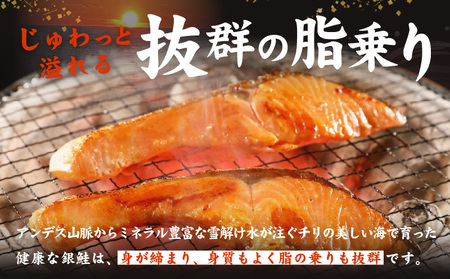 【定期便】銀鮭切り身 1kg＆特大ブラックタイガー 500g【2026年3月＆6月発送】