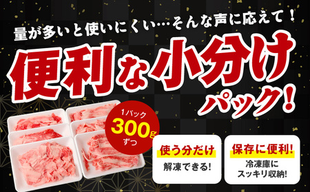【定期便】国産豚肉 4種 2.4kg×全2回 氷温熟成×極味付け【2026年3月＆6月発送】