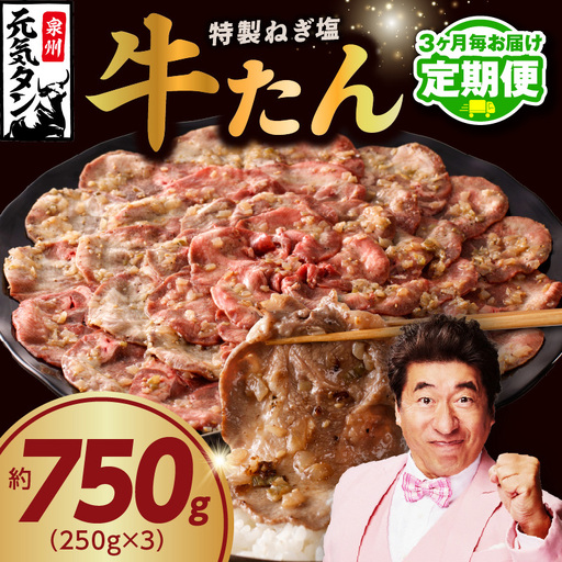 【定期便】ねぎ塩 牛たん 750g 小分け 250g×3【2026年3月＆6月発送】