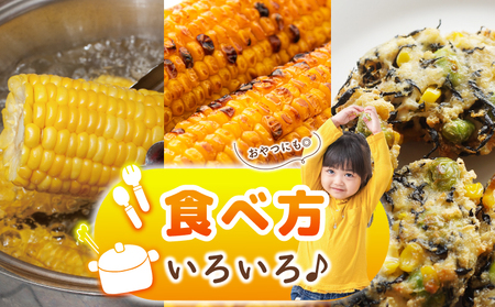 【先行予約】とうもろこし(甘いんですパワー85) 約2.5kg（7～8本）