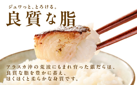 【規格外】銀鱈 西京漬け 切り落とし 2kg 訳あり