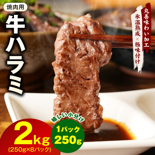 【氷温熟成×極味付け】牛肉 ハラミ 2kg（250g×8P）