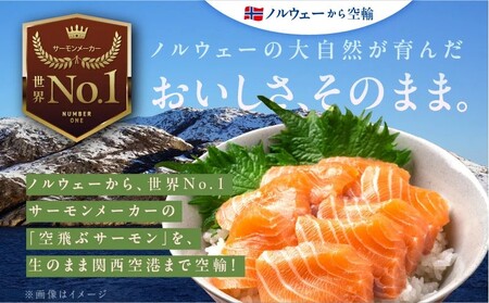 【特別規格】アトランティック サーモン 400g＋はしっこ100g