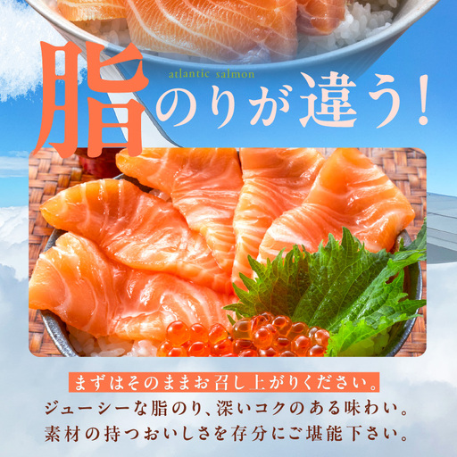 【特別規格】アトランティック サーモン 600g前後＋はしっこ100g