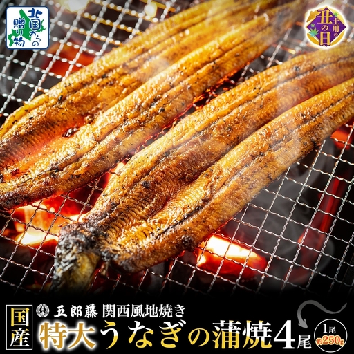 【7/26土用の丑の日】国産有頭旨鰻 250g×4尾 特大サイズ