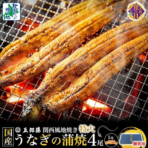 【7/26土用の丑の日】＜贈答用＞国産有頭旨鰻 250g×4尾 特大サイズ