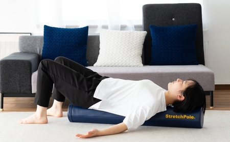 【LPN社製】ストレッチポールEX ネイビー